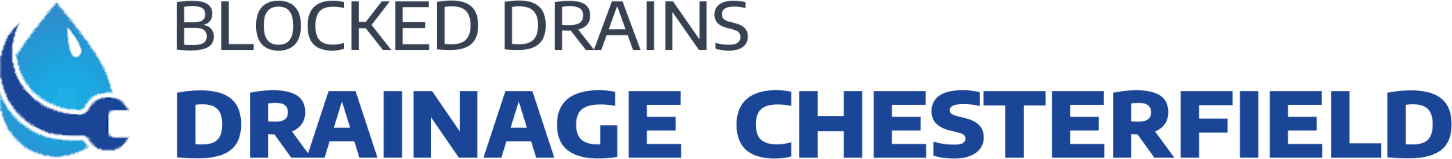website logo